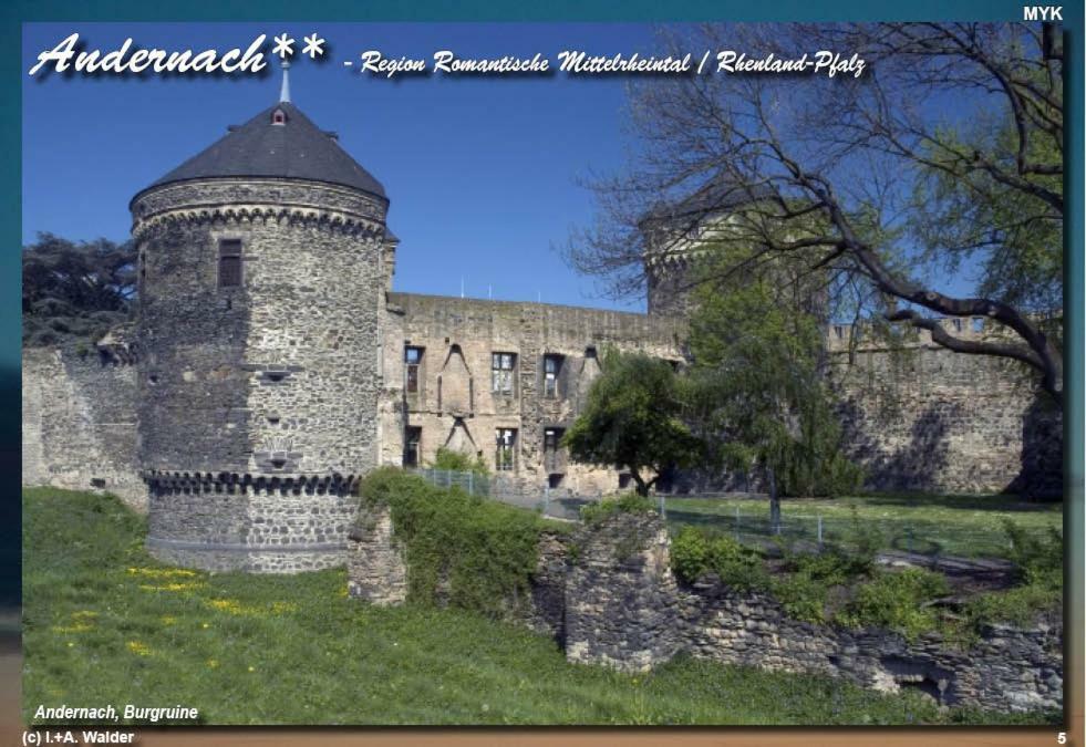 Ferienwohnung " Gecko 2 " Andernach Zewnętrze zdjęcie